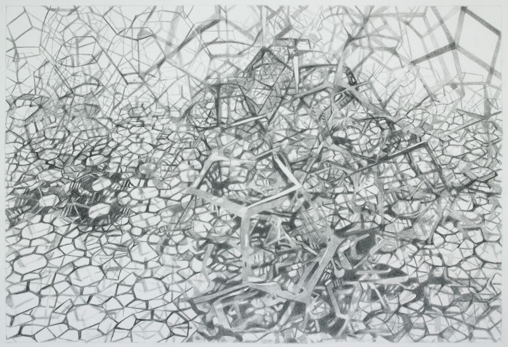 Entanglement, graphite on paper, 17 in x 25 in